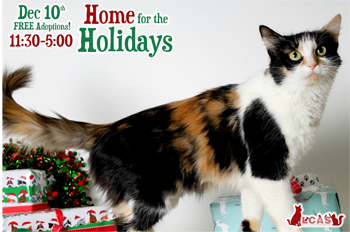 Image of Home for the Holidays promotional graphic